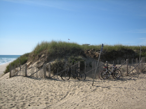 maguire beach (9 of 33)