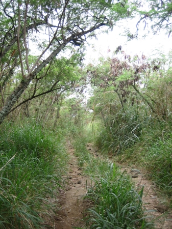 Captain Cook Trail (2 of 75)