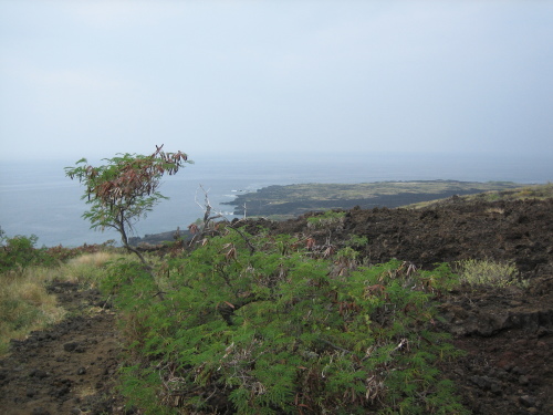 View from Captain Cook Trail (3 of 75)