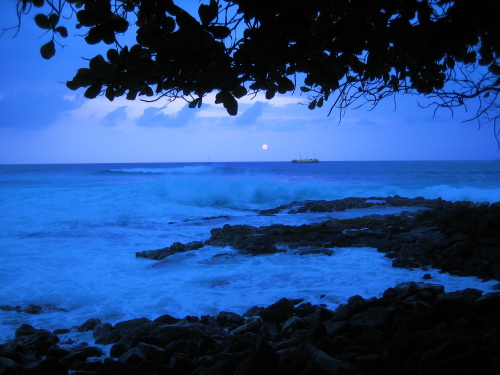 The Water at Night (5 of 75)