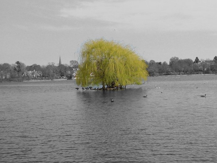 Paul can do image effects
