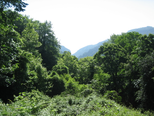 Pelion (6 of 97)