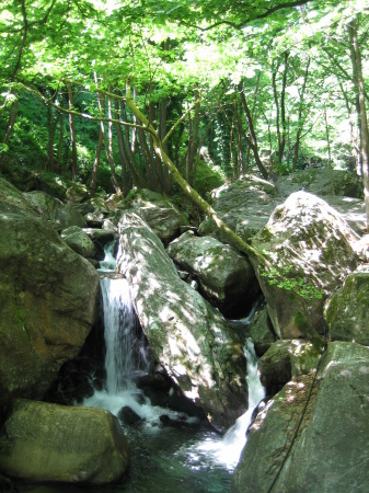 Pelion (8 of 97)