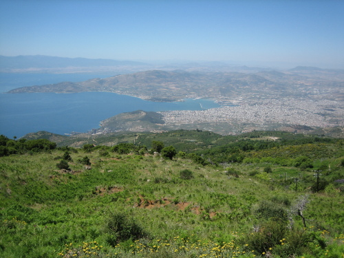 Pelion