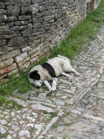 Zagori