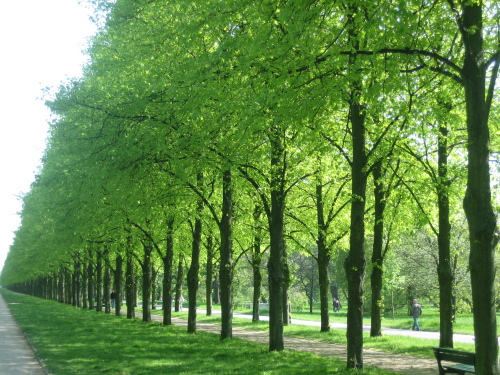 Hannover (2 of 70)