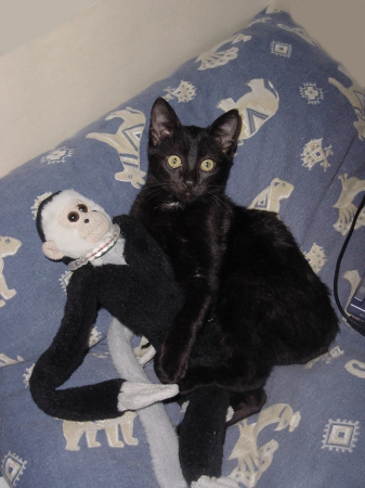 doni & monkey (1 of 10)