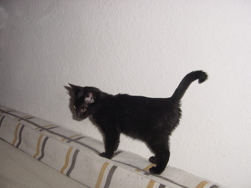 very young doni