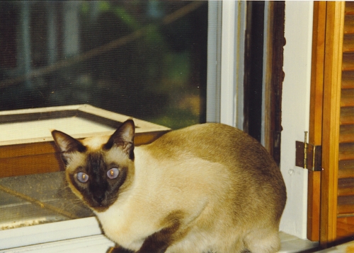 Maggy (7 of 7)