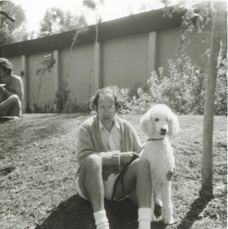 Snowball in San Diego